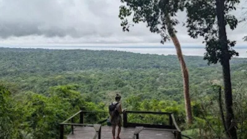 Cruviana Tours